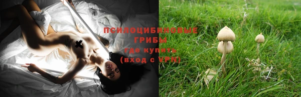 таблы Алексеевка