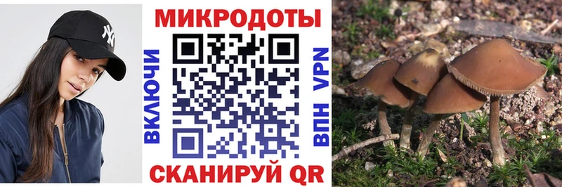 Галлюциногенные грибы GOLDEN TEACHER  сколько стоит  мега маркетплейс  Снежногорск 